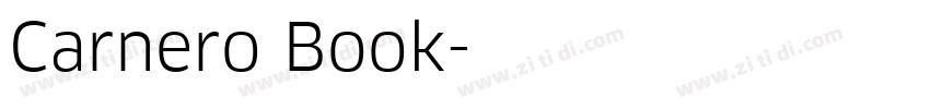 Carnero Book字体转换